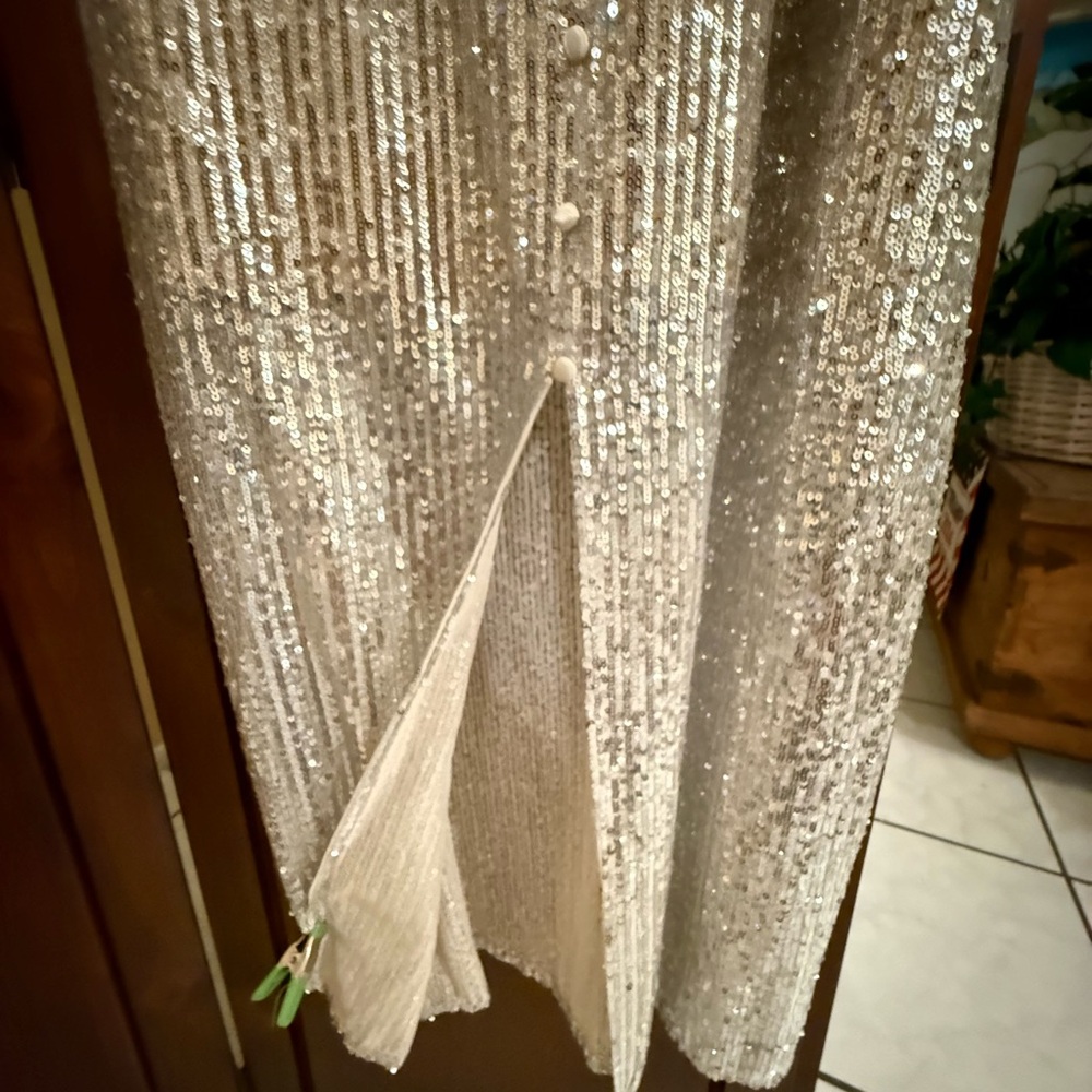 2026 PRICE DROP!! Zara Silver Sequin Maxi Dress - Picture 3 of 5